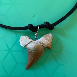 Shark tooth necklace